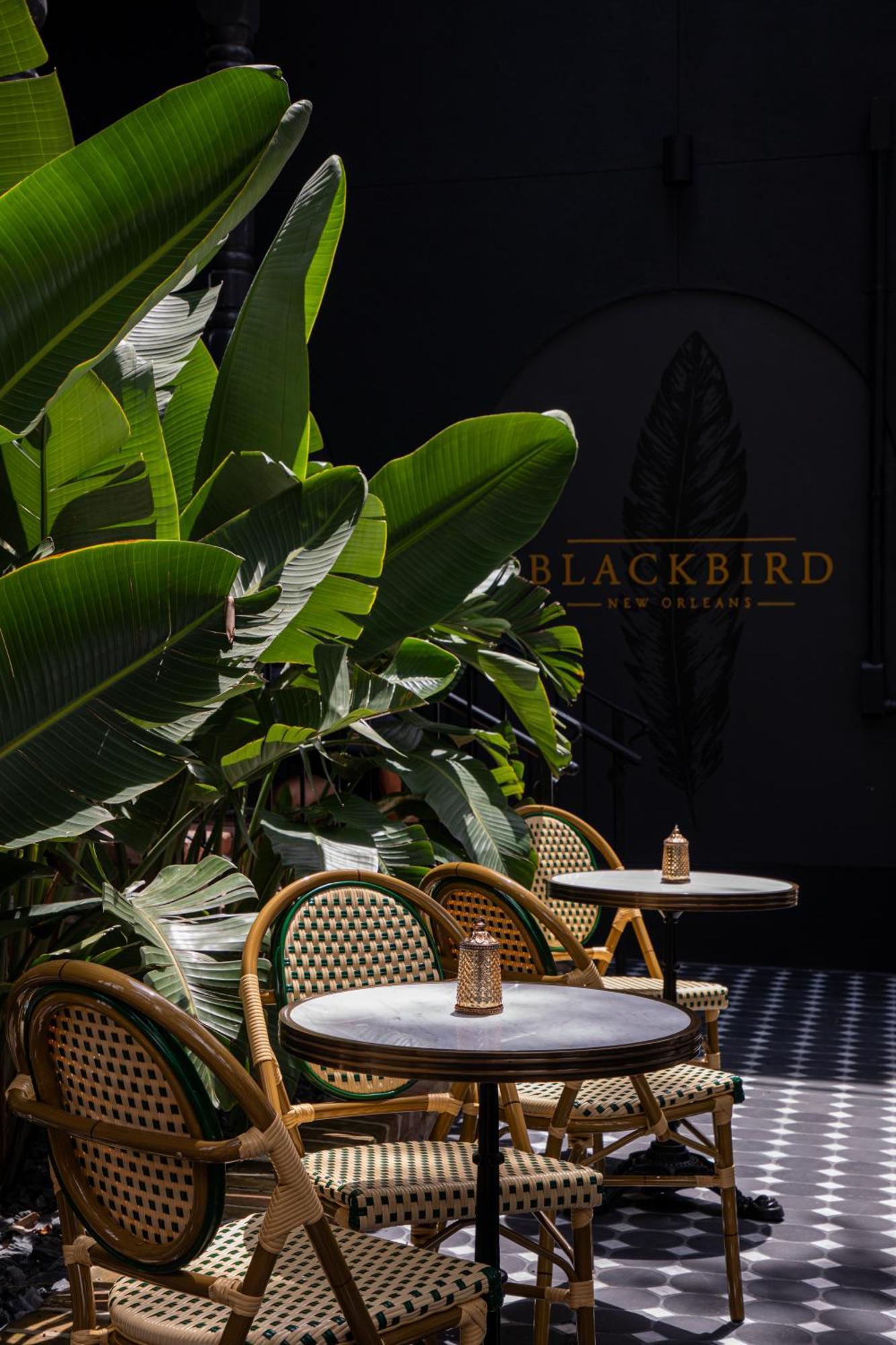 Blackbird Hotel New Orleans Dış mekan fotoğraf