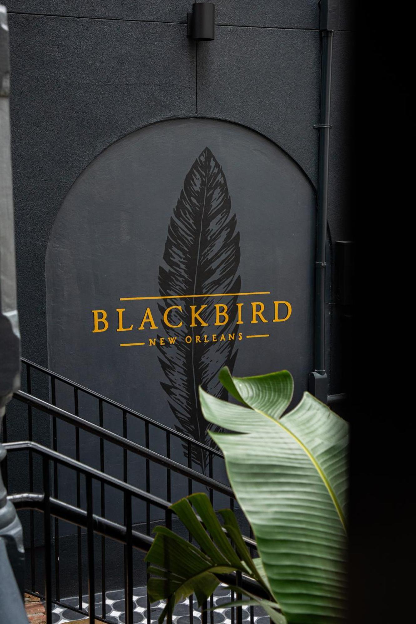 Blackbird Hotel New Orleans Dış mekan fotoğraf