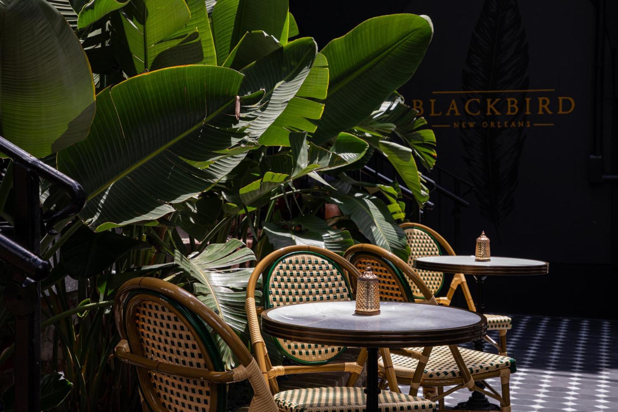 Blackbird Hotel New Orleans Dış mekan fotoğraf